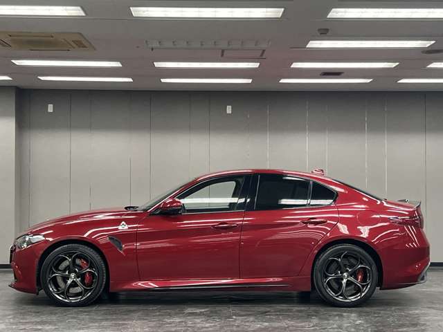 ジュリア 2017/H29