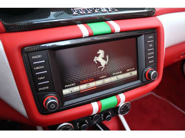 カリフォルニアT 2017/H29