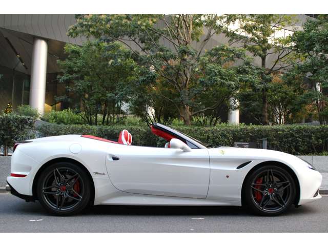 カリフォルニアT 2017/H29