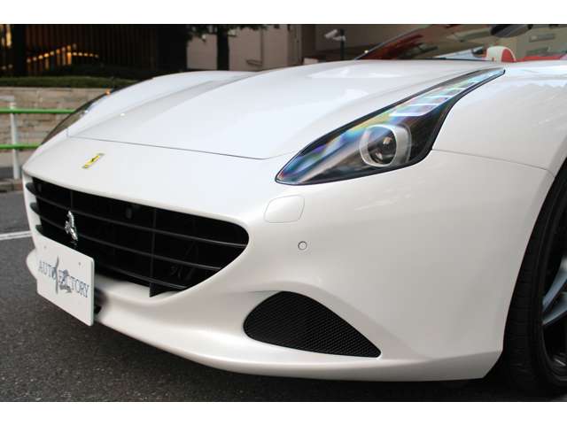 カリフォルニアT 2017/H29