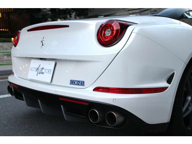 カリフォルニアT 2017/H29