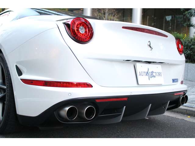 カリフォルニアT 2017/H29