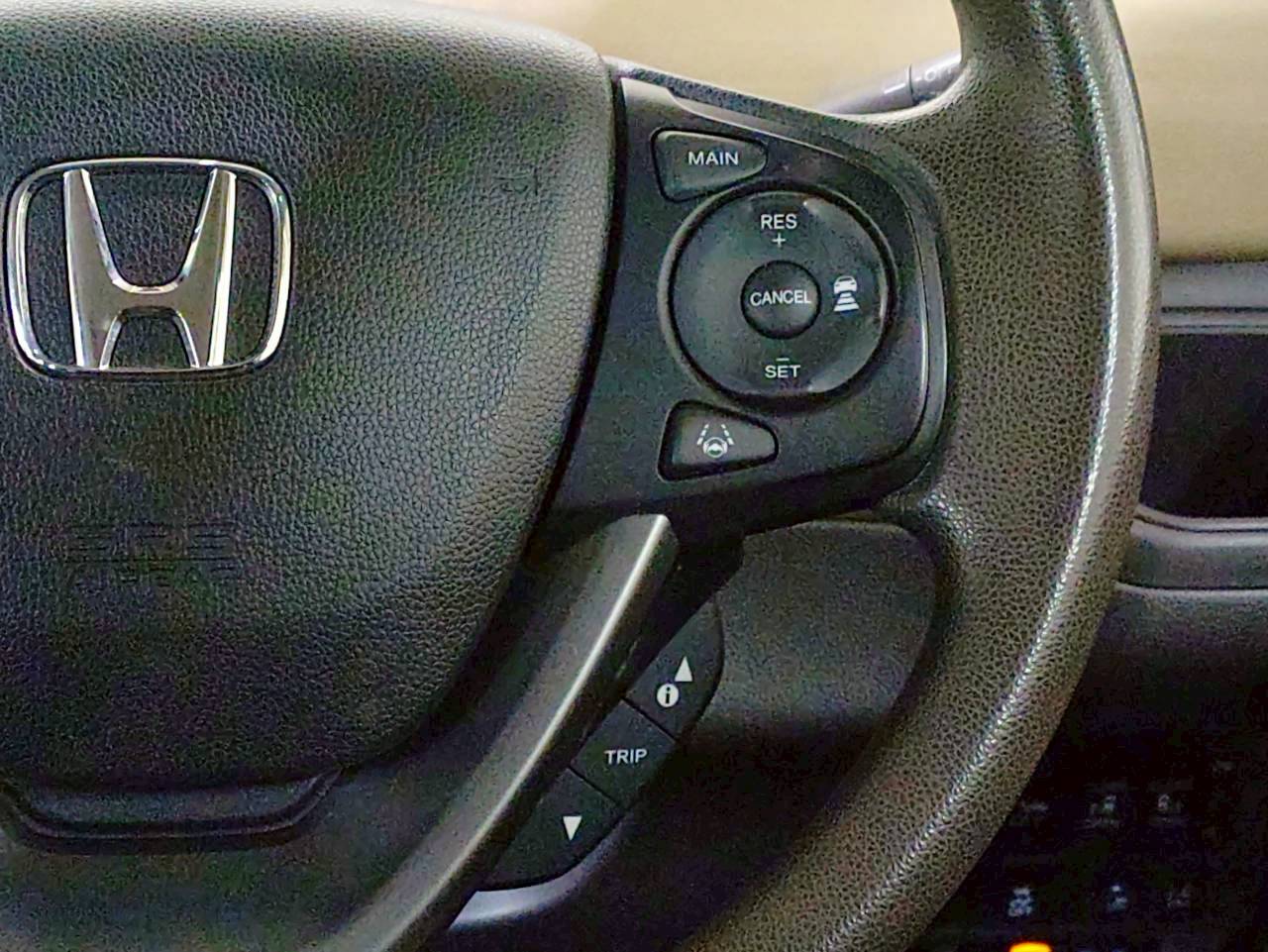 フリード 2019/R01