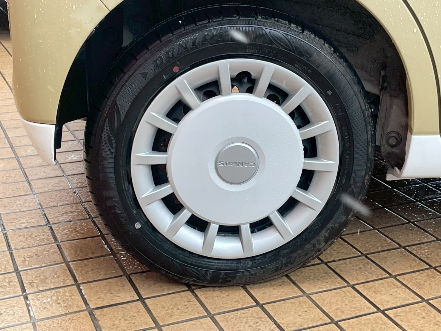 ムーヴキャンバス 2025/R07